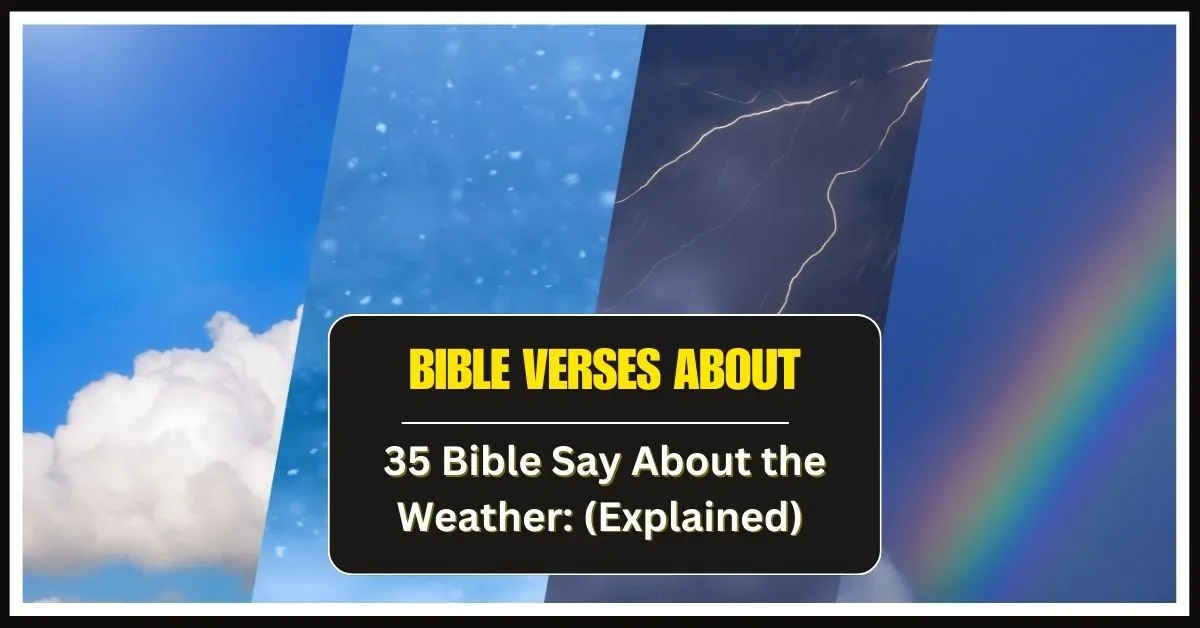 Bible Say About the Weather