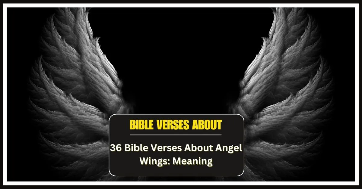 Bible Verses About Angel Wings