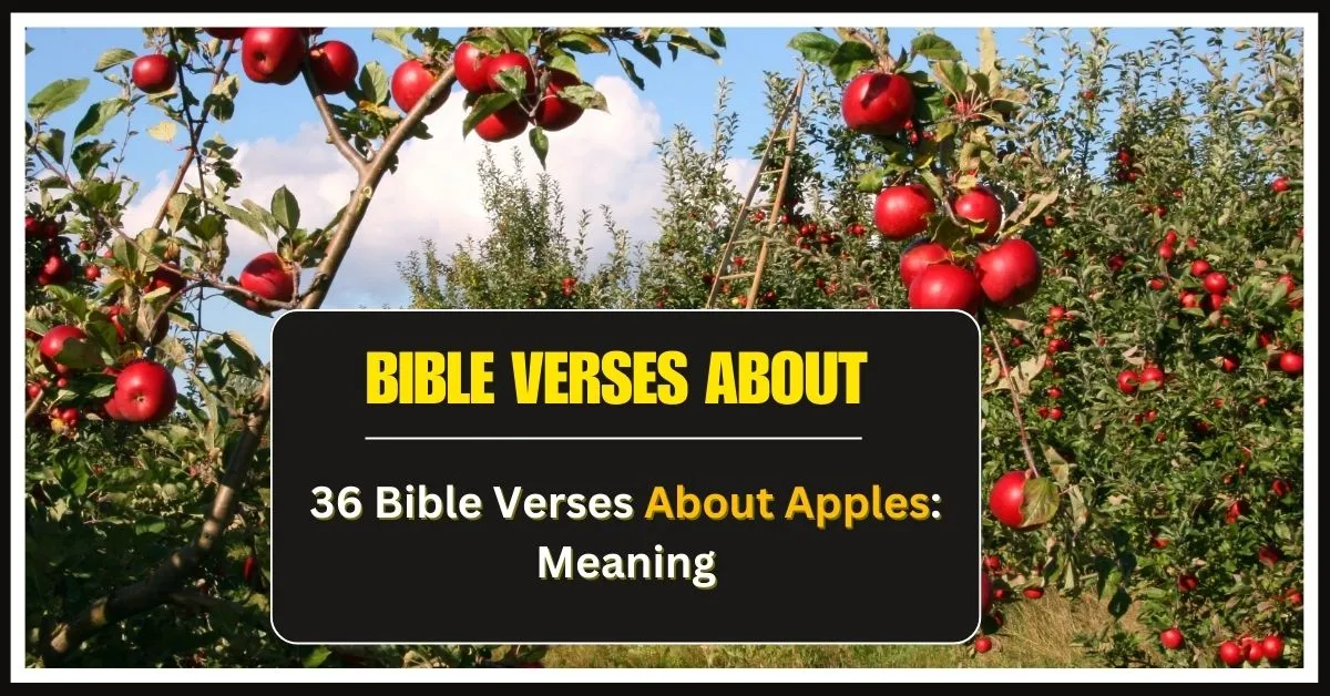 Bible Verses About Apples