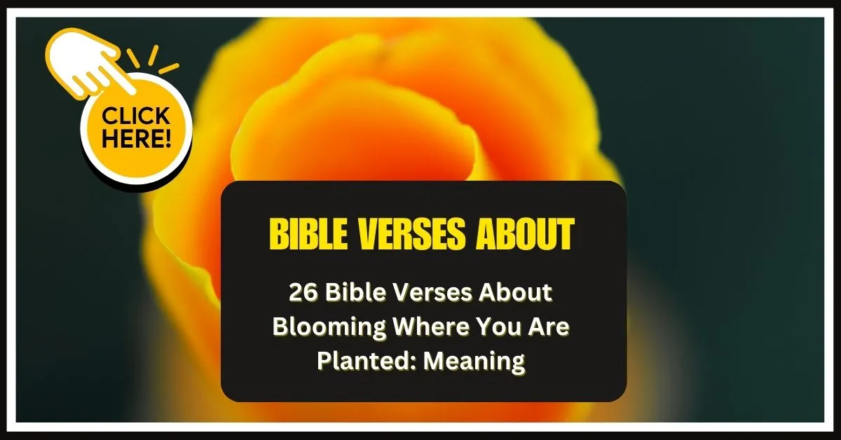 Bible Verses About Blooming Where You Are Planted