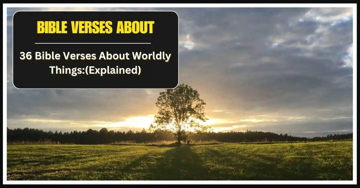 Bible Verses About Worldly Things
