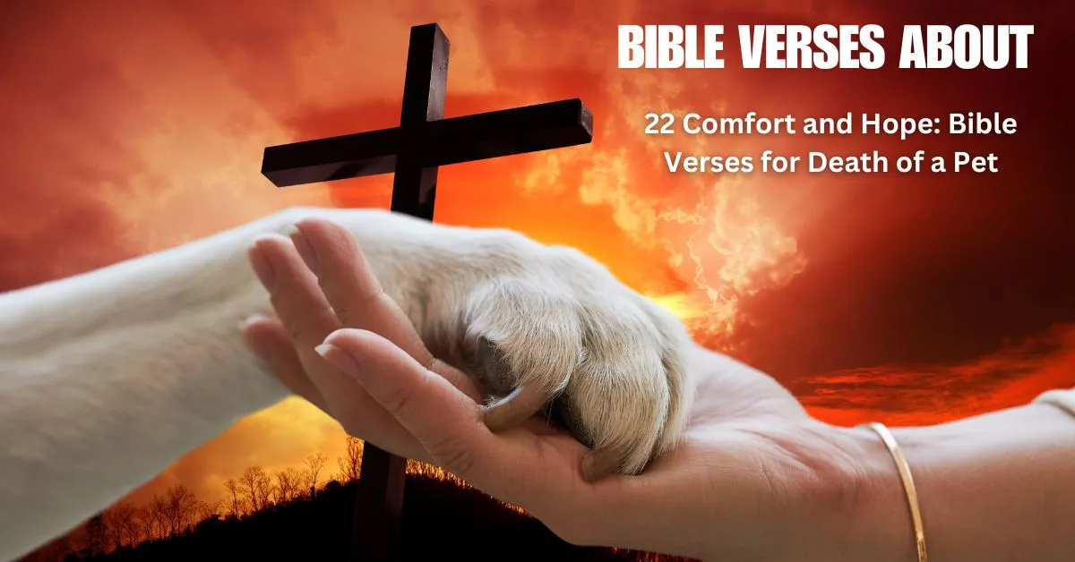Bible Verses for Death of a Pet