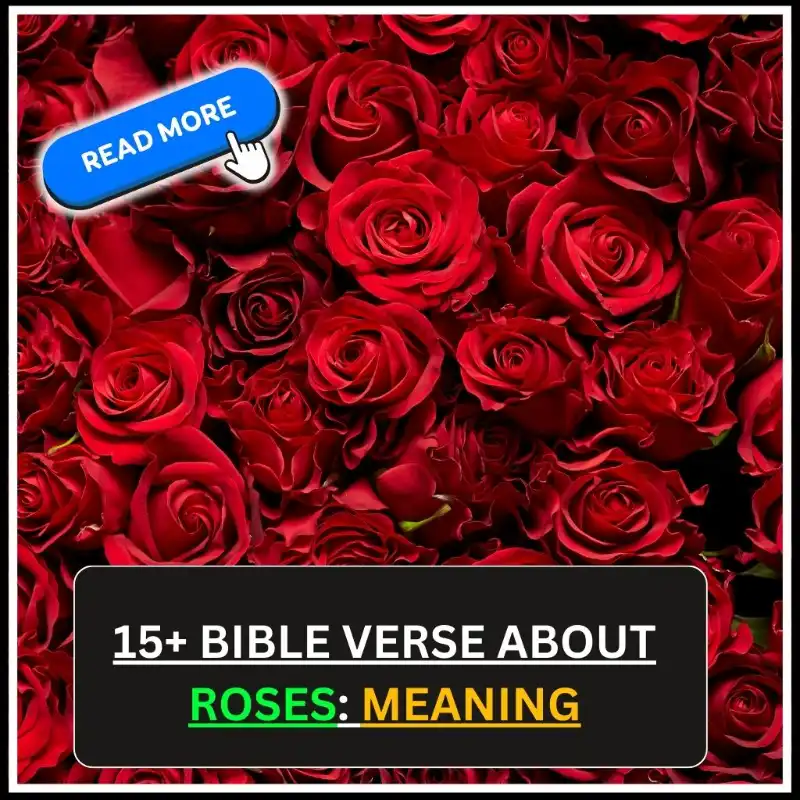 Bible Verse About Roses