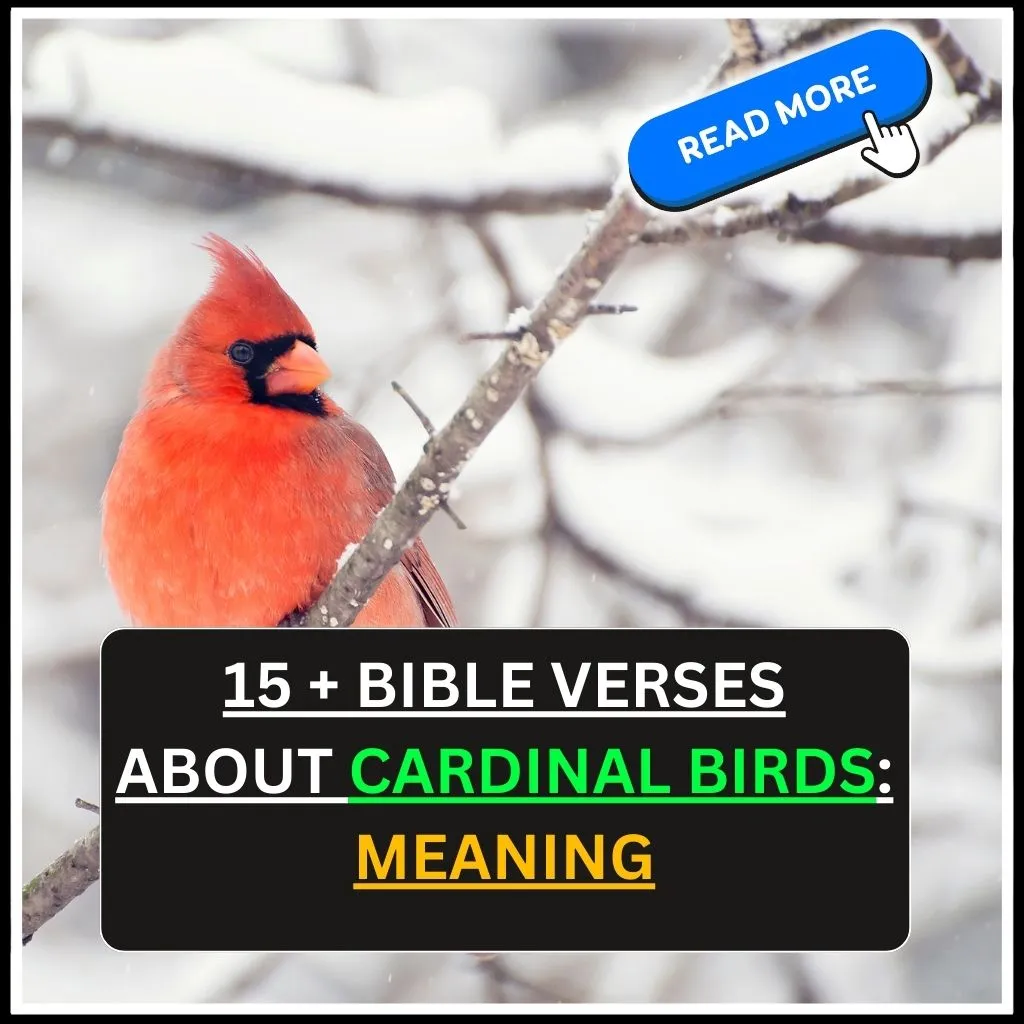 Bible Verses About Cardinal Birds
