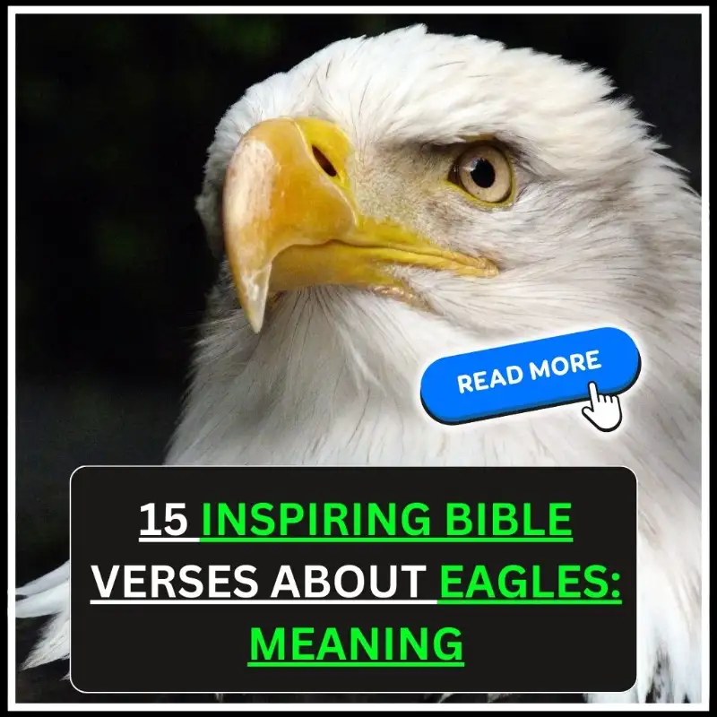 Bible Verses About Eagles