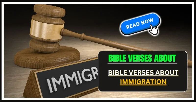 Bible Verses About Immigration