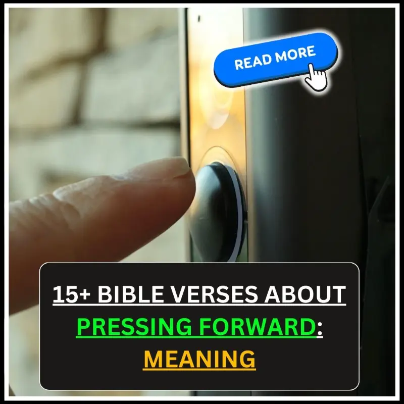 Bible Verses About Pressing Forward