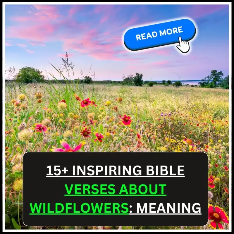 Bible Verses About Wildflowers