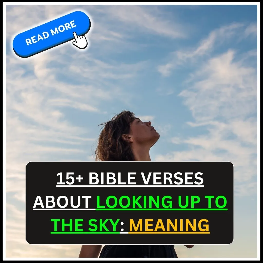 bible verses about looking up to the sky