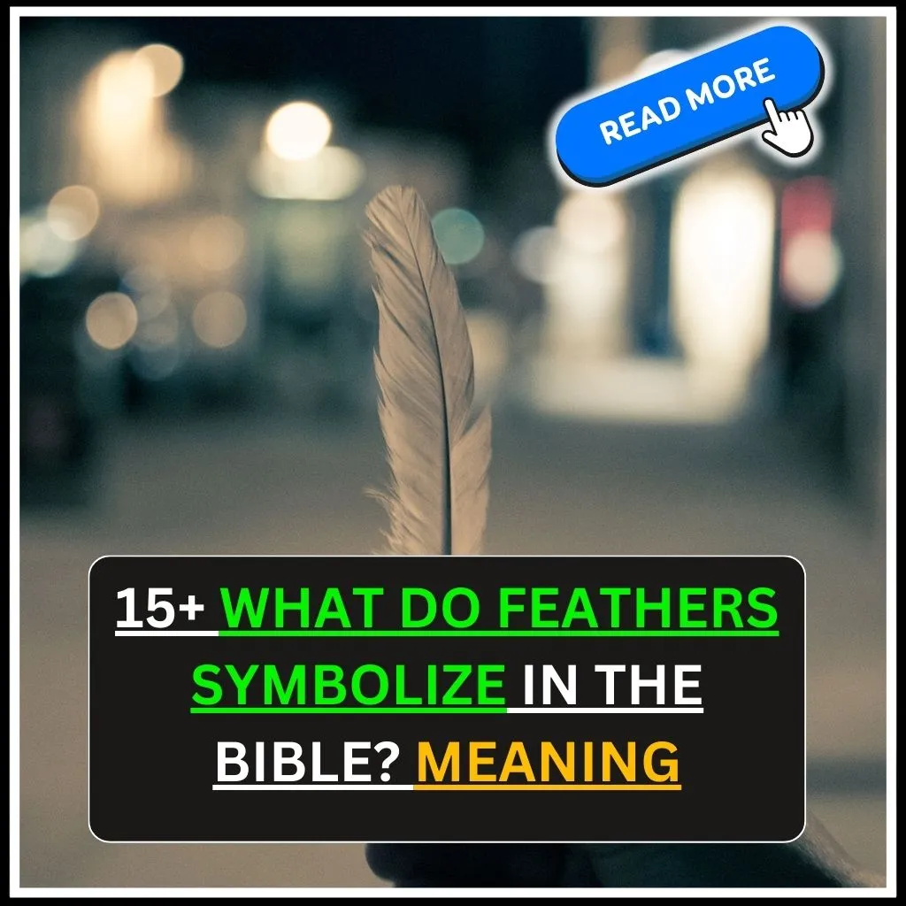 what do feathers symbolize in the bible