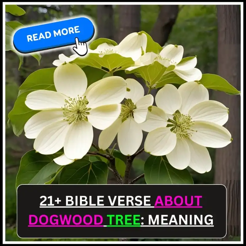 Bible Verse About Dogwood Tree
