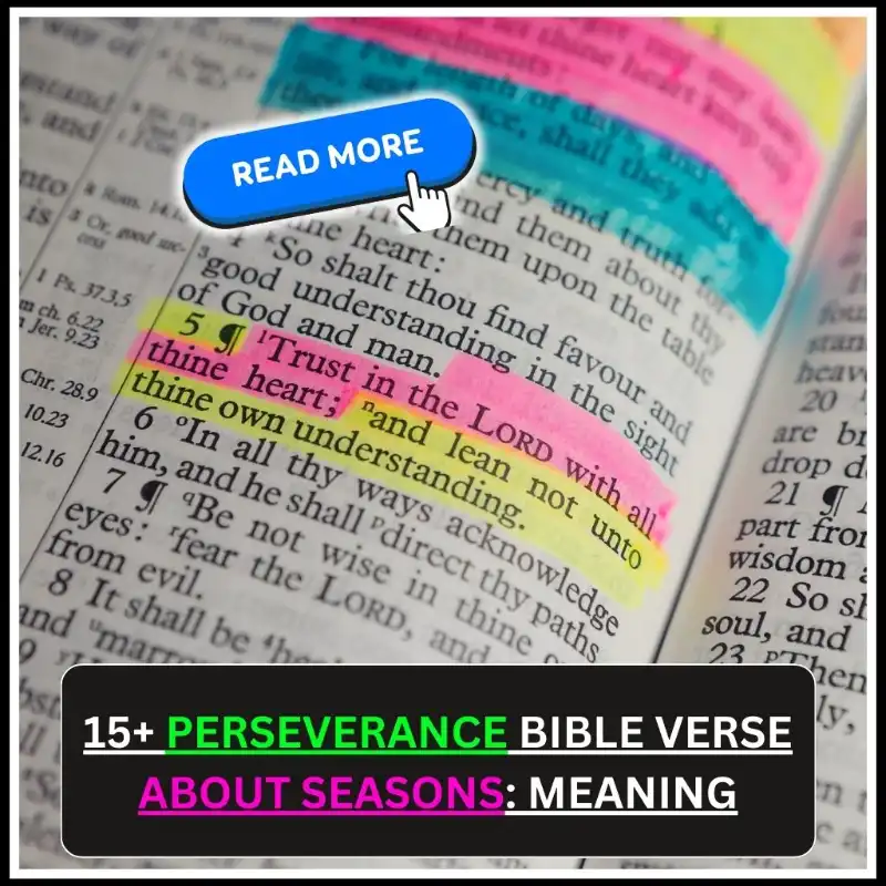 Perseverance Bible Verse About Seasons