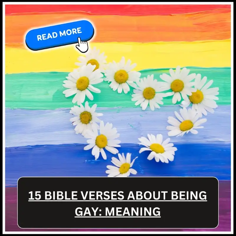 bible verses about being gay