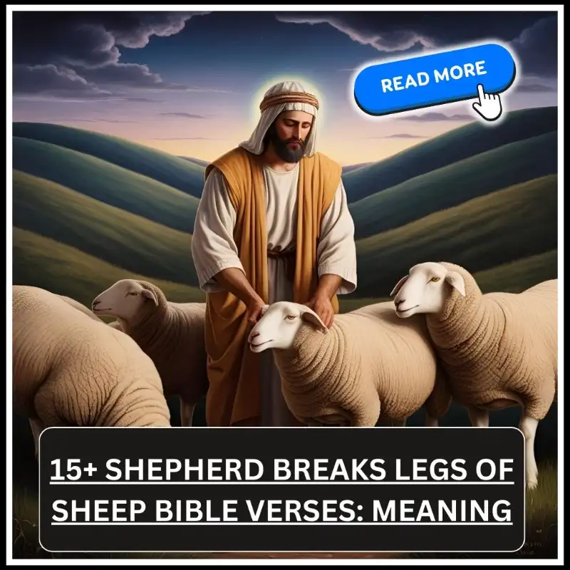 shepherd breaks legs of sheep bible verse