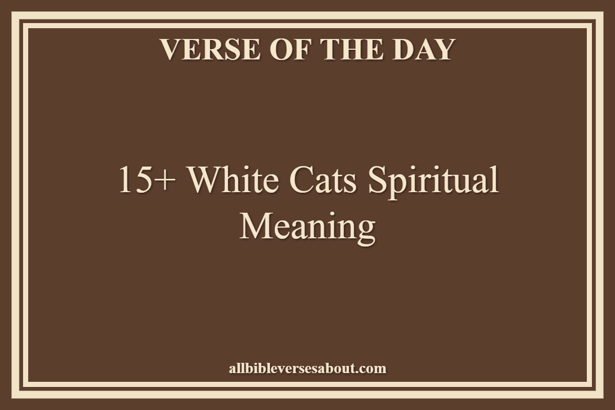 15+ White Cats Spiritual Meaning