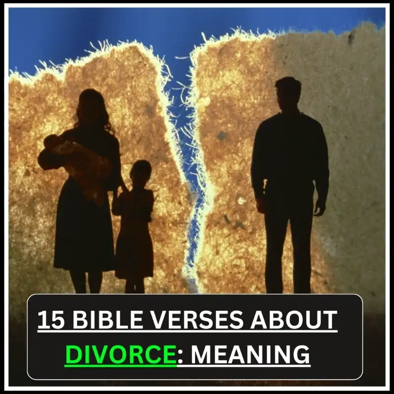 Bible Verses About Divorce