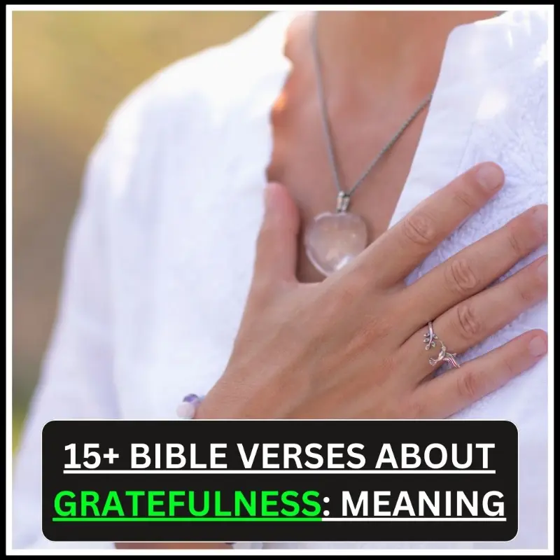 Bible Verses About Gratefulness