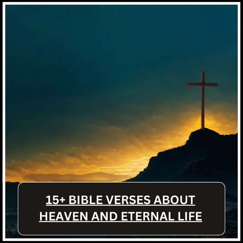 Bible Verses About Heaven and Eternal Life