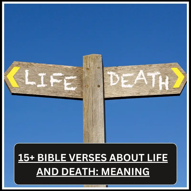 Bible Verses About Life and Death