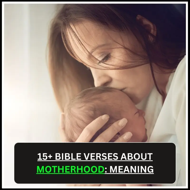 Bible Verses About Motherhood