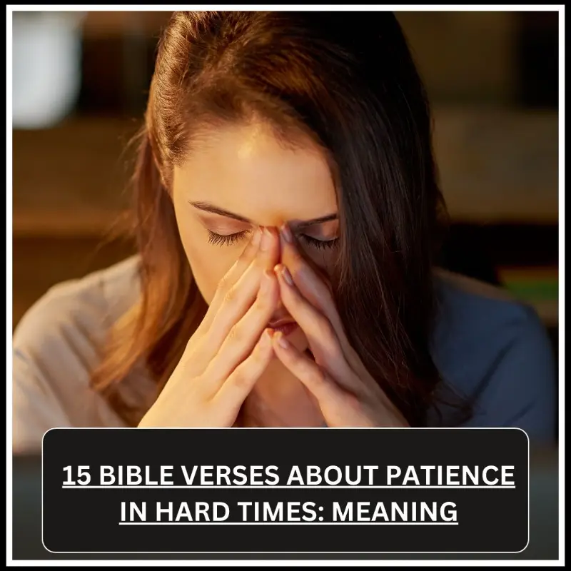 Bible Verses About Patience in Hard Times