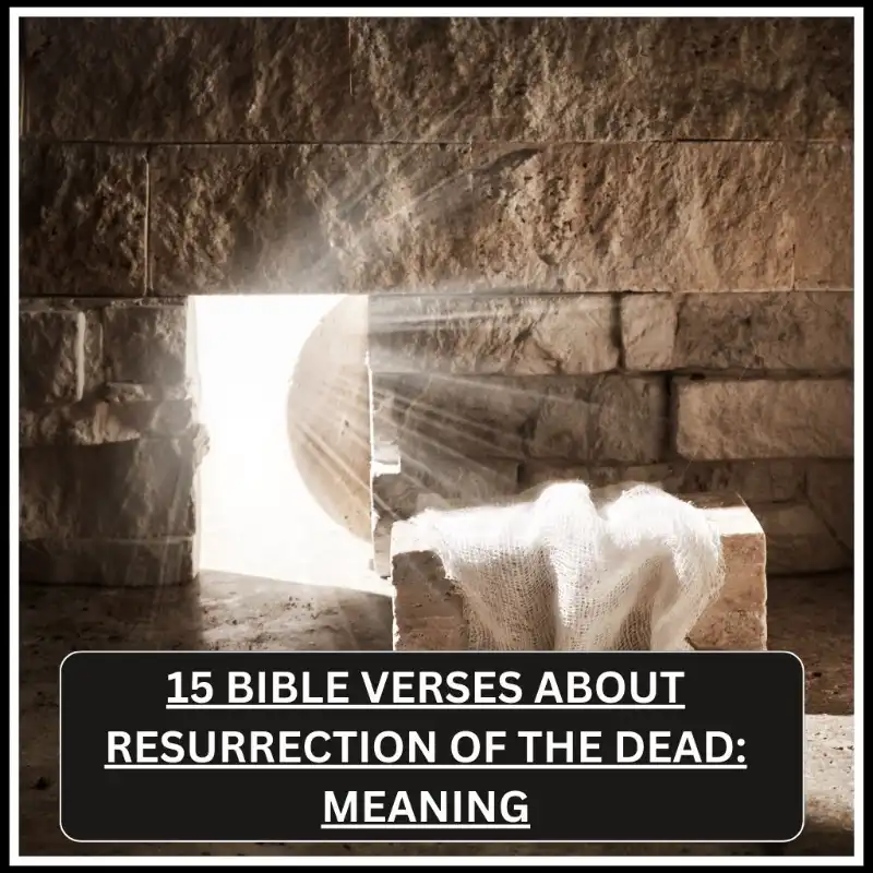 Bible Verses About Resurrection of the Dead