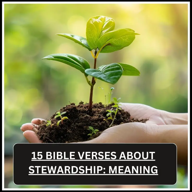 Bible Verses About Stewardship