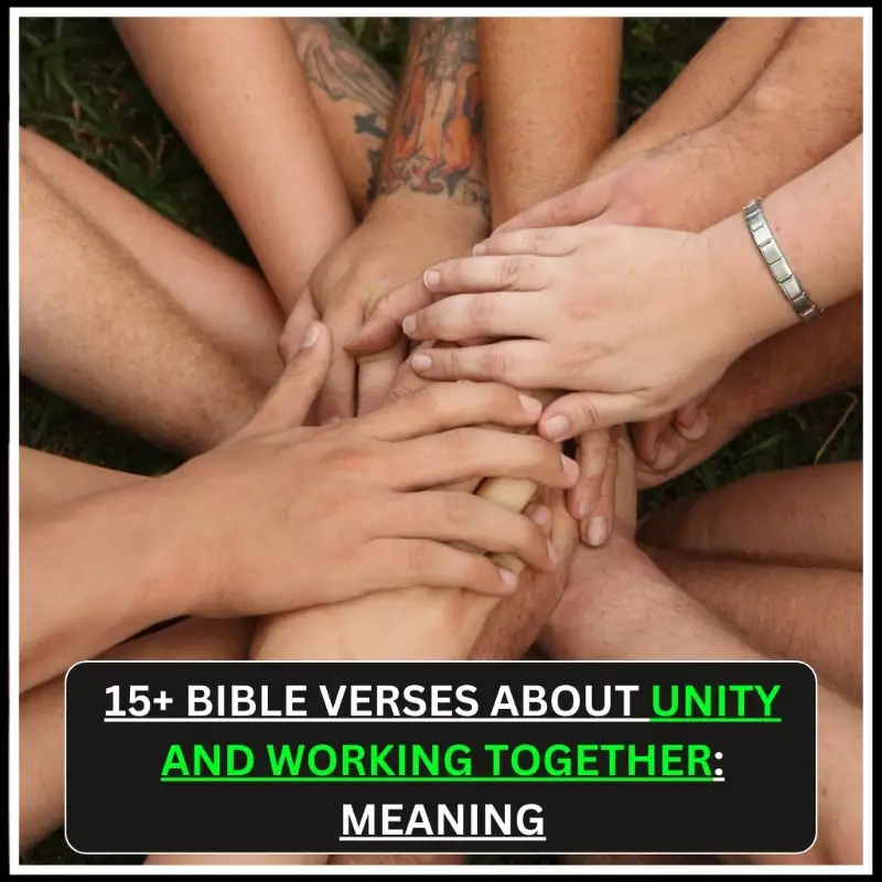 Bible Verses About Unity and Working Together
