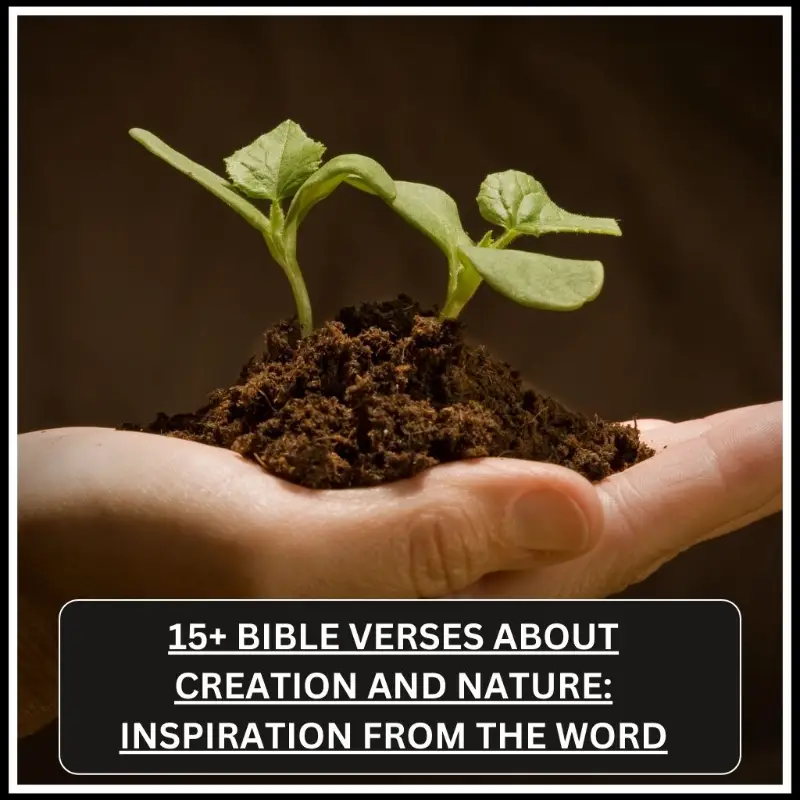 bible verses about creation and nature