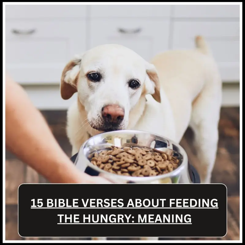 bible verses about feeding the hungry