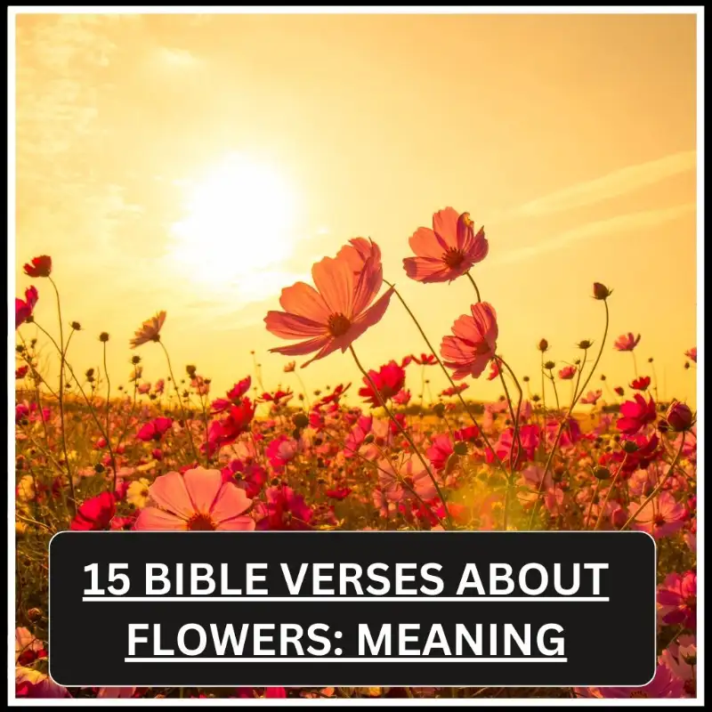 bible verses about flowers