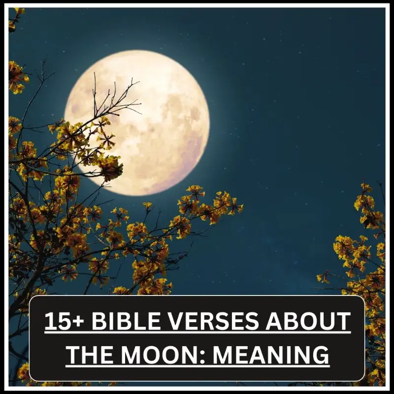 bible verses about the moon