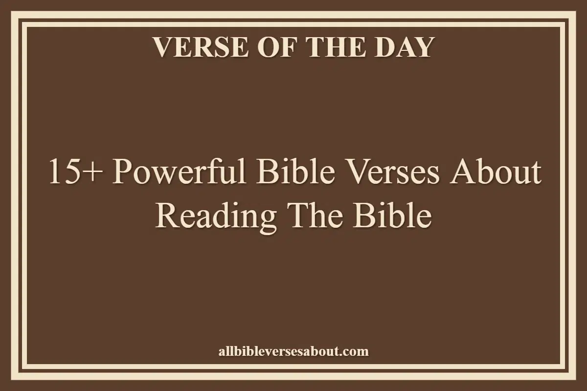 15+ Powerful Bible Verses About Reading The Bible