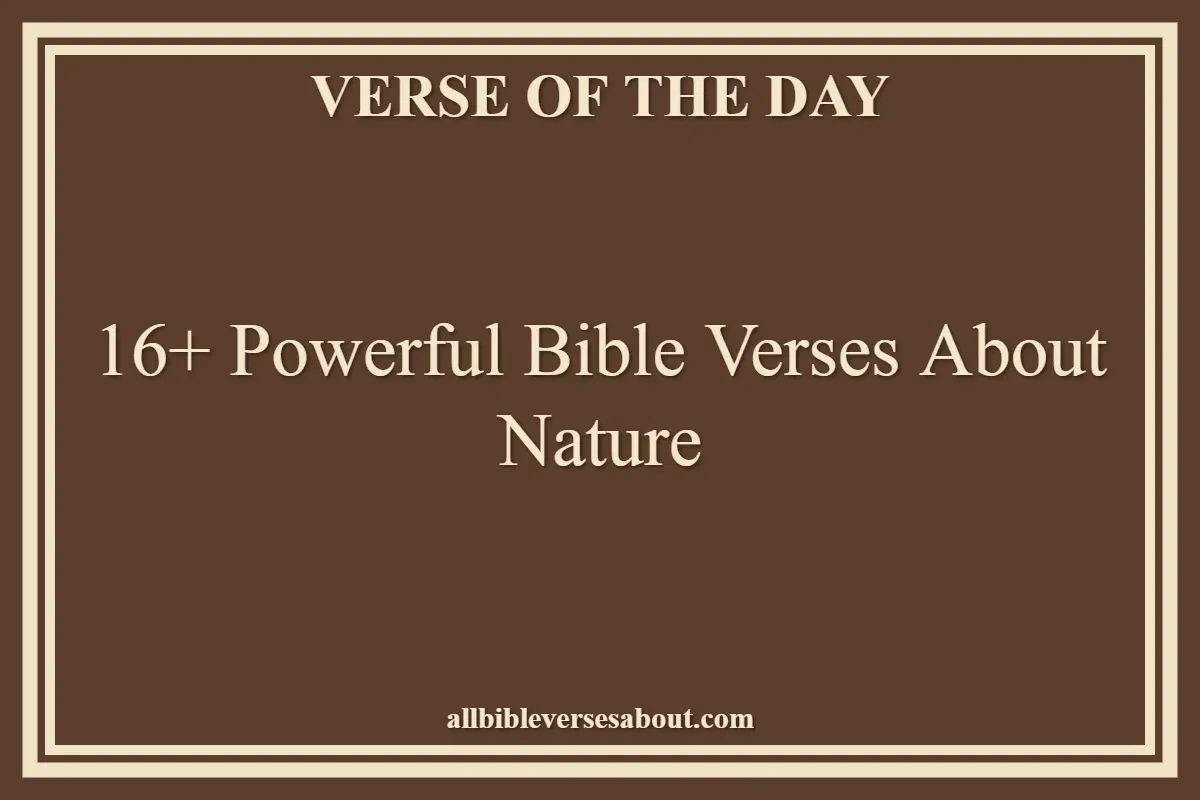 16+ Powerful Bible Verses About Nature